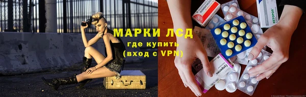 стафф Карпинск