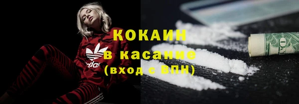 стафф Карпинск