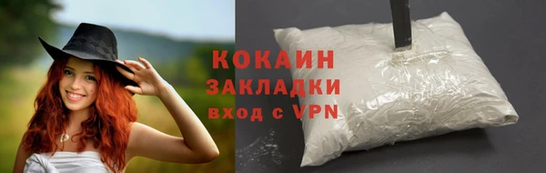 стафф Карпинск