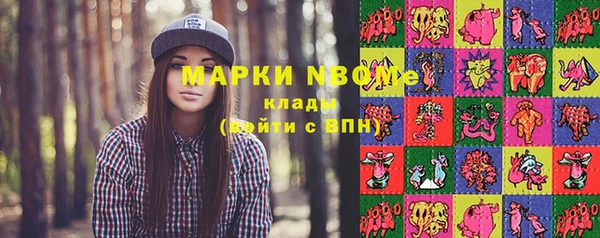 стафф Карпинск