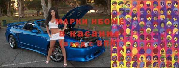 стафф Карпинск