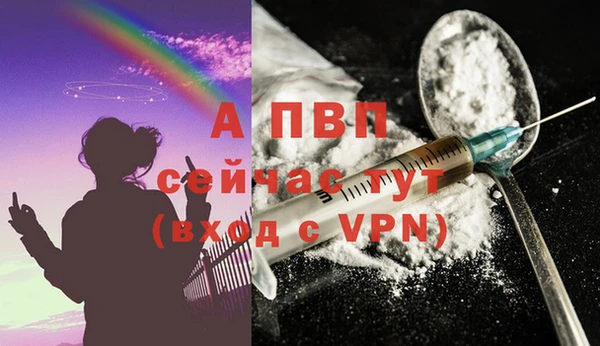гашиш Касимов