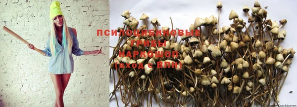 стафф Карпинск