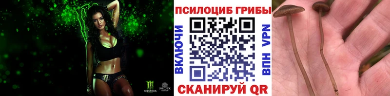 Галлюциногенные грибы Cubensis  Купить где  Лебедянь 
